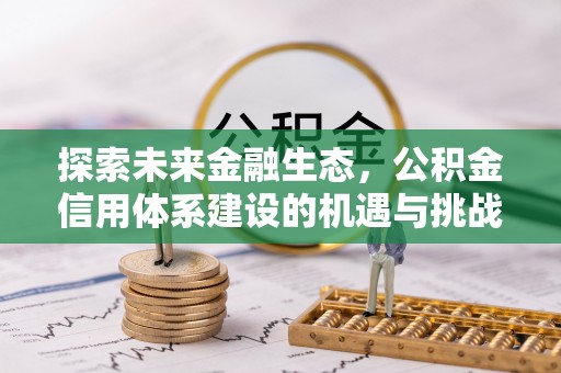 文登探索未来金融生态，公积金信用体系建设的机遇与挑战