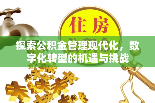 文登探索公积金管理现代化，数字化转型的机遇与挑战