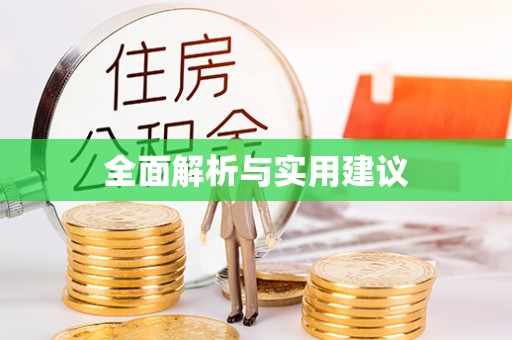 文登全面解析与实用建议
