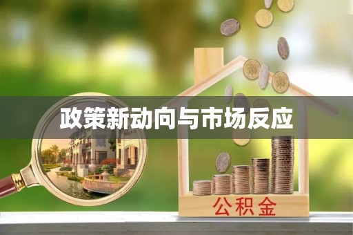 文登政策新动向与市场反应