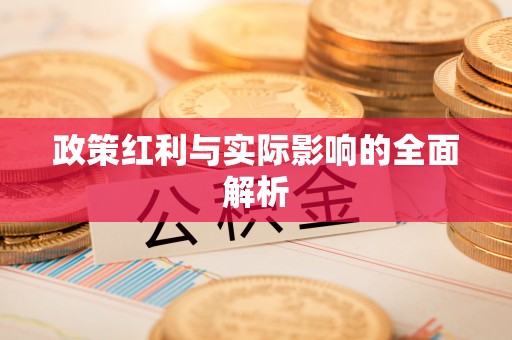 文登政策红利与实际影响的全面解析