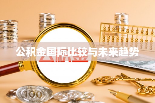 文登公积金国际比较与未来趋势
