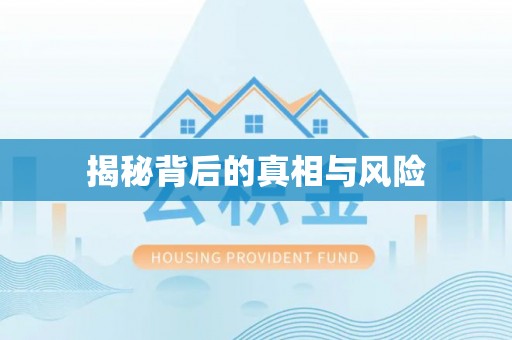 文登揭秘背后的真相与风险