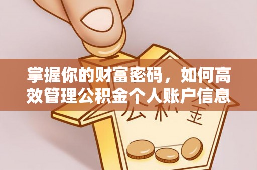 文登掌握你的财富密码，如何高效管理公积金个人账户信息