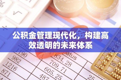 文登公积金管理现代化，构建高效透明的未来体系