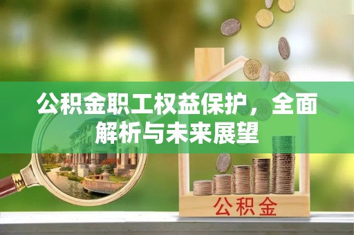 文登公积金职工权益保护，全面解析与未来展望