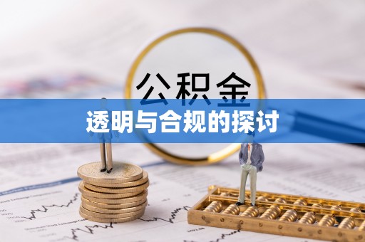 文登透明与合规的探讨