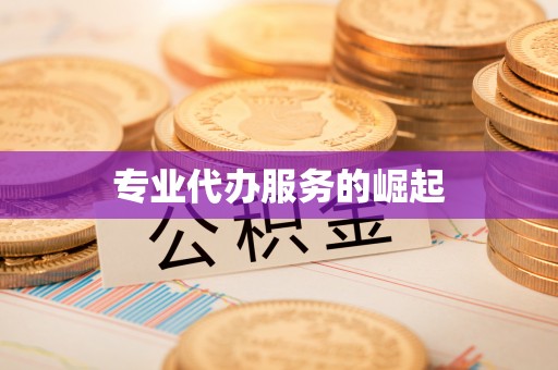 文登专业代办服务的崛起