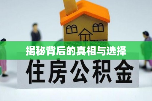 文登揭秘背后的真相与选择