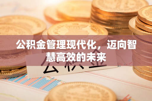 文登公积金管理现代化，迈向智慧高效的未来