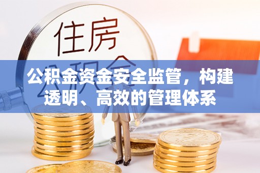 文登公积金资金安全监管，构建透明、高效的管理体系