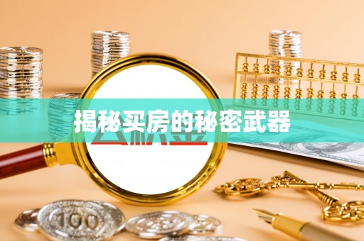 文登揭秘买房的秘密武器