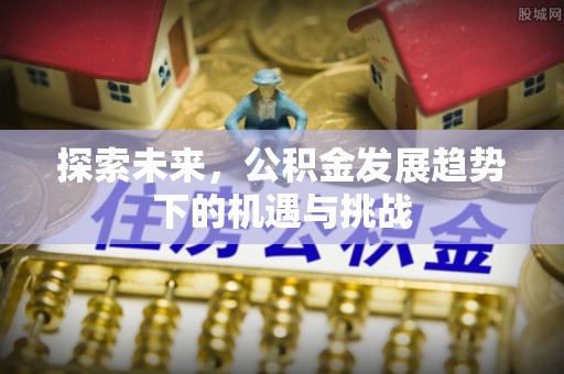 文登探索未来，公积金发展趋势下的机遇与挑战
