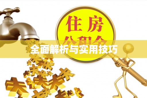 文登全面解析与实用技巧