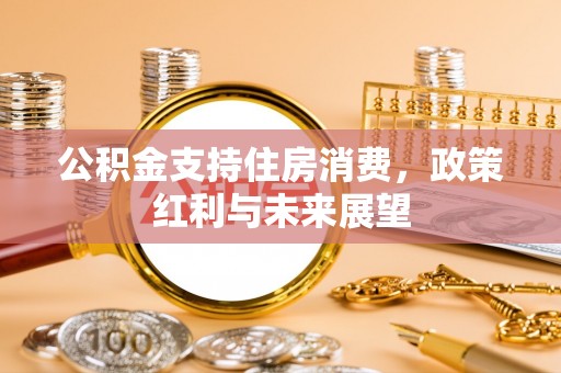 文登公积金支持住房消费，政策红利与未来展望