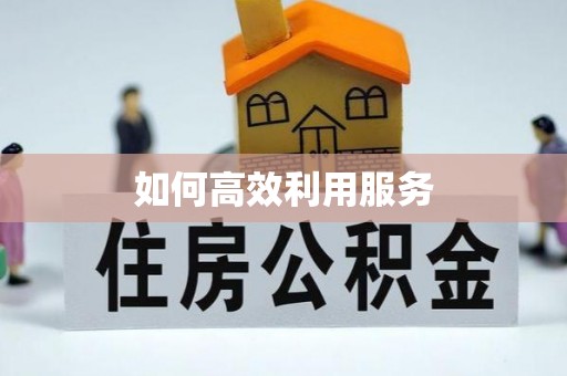 文登如何高效利用服务