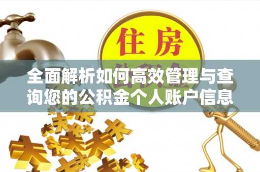 文登全面解析如何高效管理与查询您的公积金个人账户信息