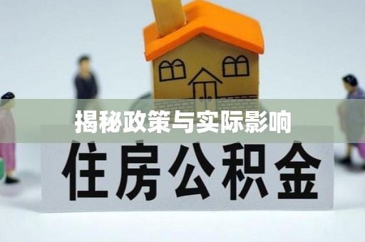 文登揭秘政策与实际影响