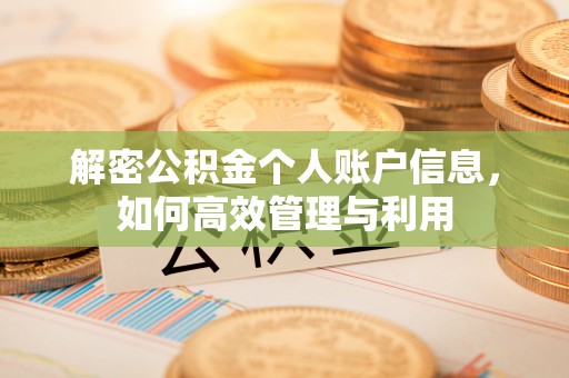文登解密公积金个人账户信息，如何高效管理与利用
