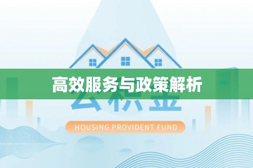 文登高效服务与政策解析
