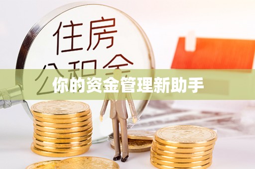 文登你的资金管理新助手