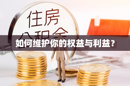 文登如何维护你的权益与利益？