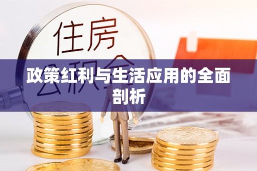 文登政策红利与生活应用的全面剖析