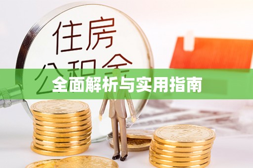 文登全面解析与实用指南