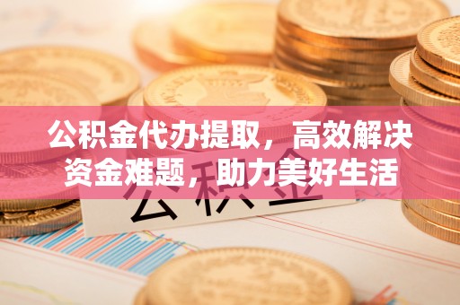 文登公积金代办提取，高效解决资金难题，助力美好生活