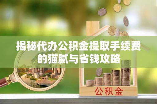 文登揭秘代办公积金提取手续费的猫腻与省钱攻略