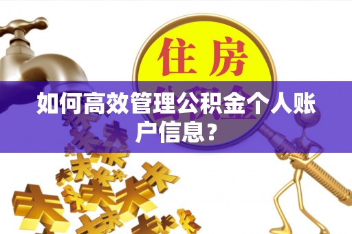 文登如何高效管理公积金个人账户信息？