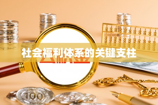 文登社会福利体系的关键支柱