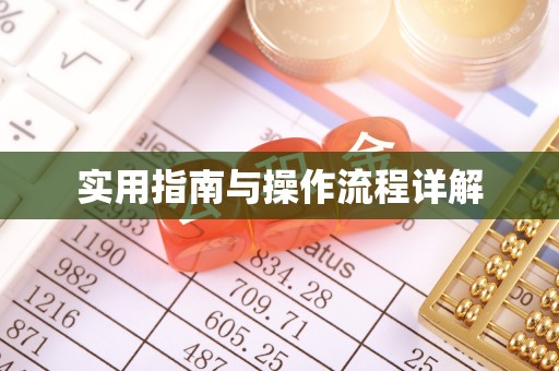 文登实用指南与操作流程详解