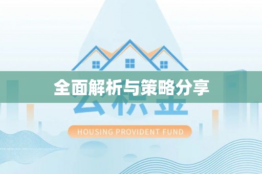 文登全面解析与策略分享