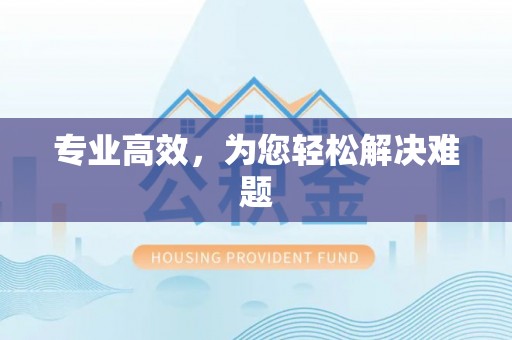 文登专业高效，为您轻松解决难题