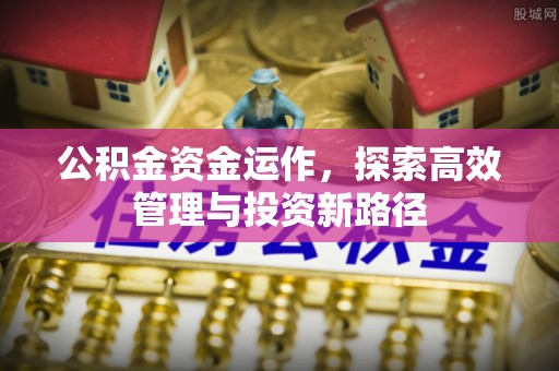 文登公积金资金运作，探索高效管理与投资新路径