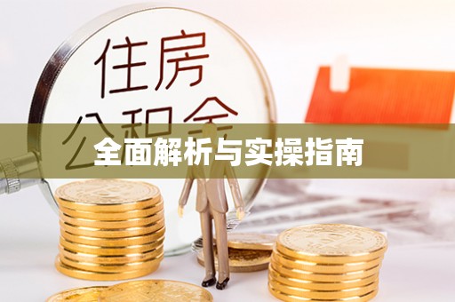 文登全面解析与实操指南