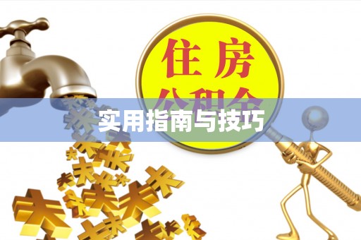 文登实用指南与技巧