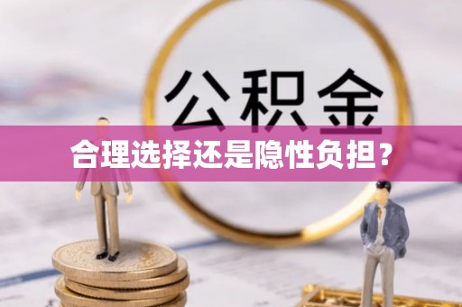 文登合理选择还是隐性负担？