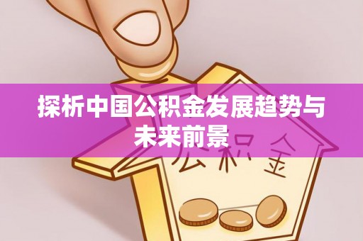 文登探析中国公积金发展趋势与未来前景