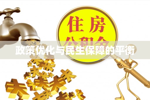 文登政策优化与民生保障的平衡