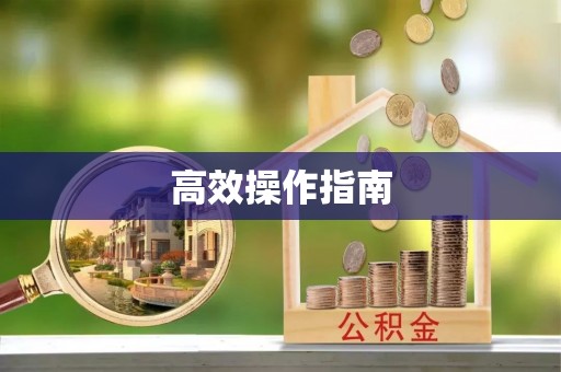 文登高效操作指南