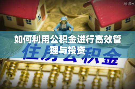 文登如何利用公积金进行高效管理与投资