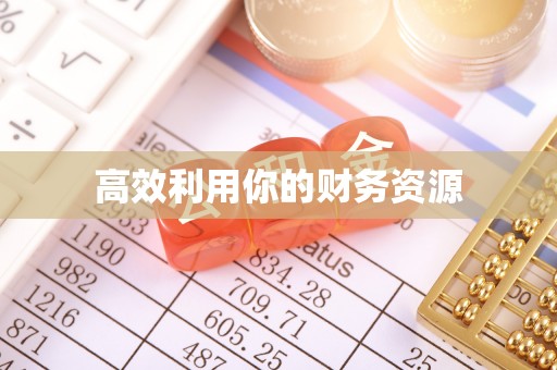 文登高效利用你的财务资源