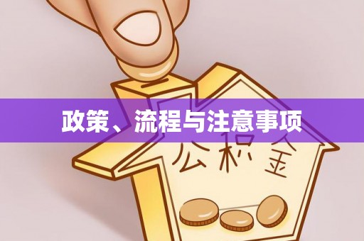 文登政策、流程与注意事项