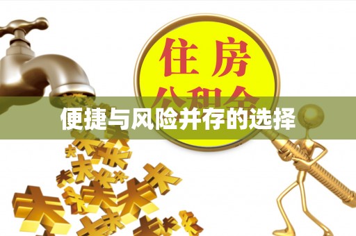 文登便捷与风险并存的选择