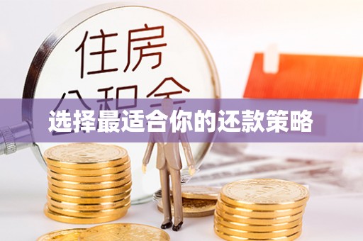 文登选择最适合你的还款策略