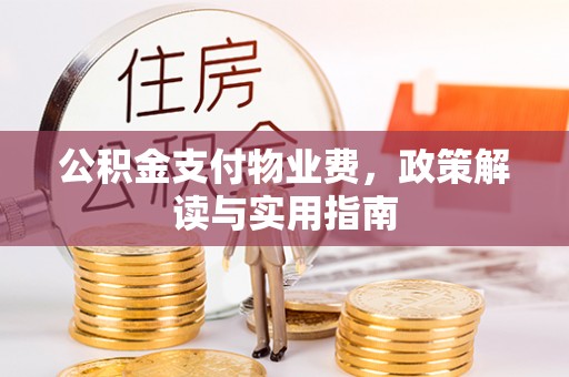 文登公积金支付物业费，政策解读与实用指南
