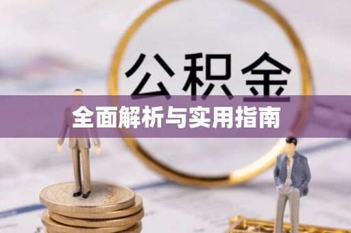 文登全面解析与实用指南