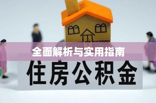 文登全面解析与实用指南